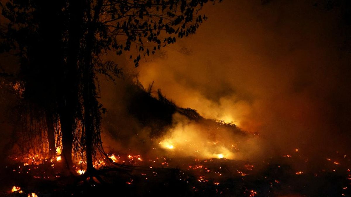 Ketika Krisis Ekologis Membatasi Kebebasan