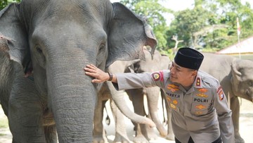 Raih detikSumatera Awards, Kapolda Riau: Jadi Pengingat untuk Terus Jaga Alam
