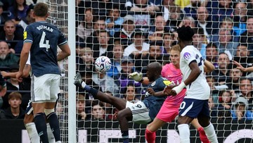 Tottenham Vs Newcastle: The Magpies Bekuk The The Lilywhites 2-0