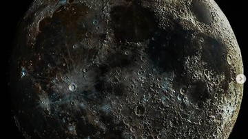 Mikroba Bumi Bisa Hidup di Bulan, Ilmuwan Mulai Khawatir