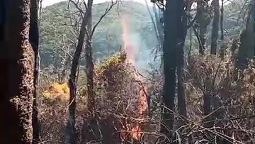 132 Kasus Karhutla di Jabar, KDM Minta Pendakian Gunung Disetop Sementara