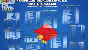 Tembus 2.001 Kasus, Ini Daftar 13 Daerah Masuk Zona Merah Karhutla di Sumsel