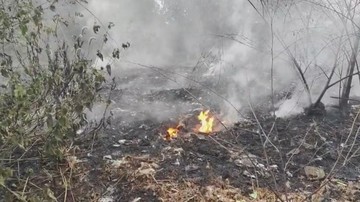 Terjadi Lagi Kebakaran TPA yang Berlangsung Berjam-jam