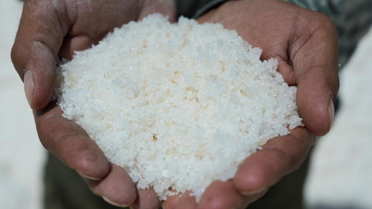 Potret Keluarga Suriah Mencari Nafkah dari Garam Gurun