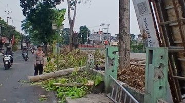 Pekerja di Depok Terpental dari Ketinggian 10 Meter Saat Tebang Pohon