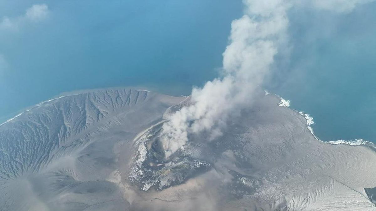 Gunung Anak Krakatau Meletus, Ada 'Penghuni' yang Tak Bisa Kabur
