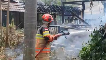 Lahan Ilalang di Bogor Terbakar gegara Warga Bakar Rumput Usai Bersih-bersih
