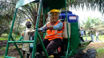 Kisah Perempuan Tangguh di Kebun Solok Selatan dan Harapan Keluarga