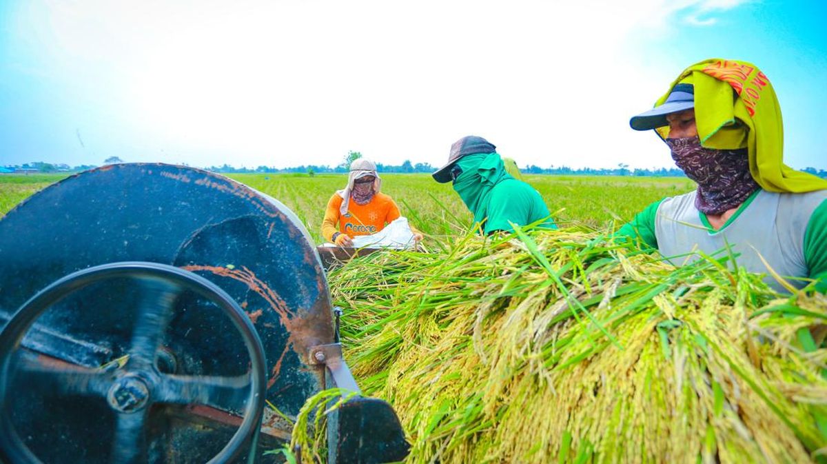10 Kabupaten/Kota dengan Pekerja Sektor Pertanian Terbanyak