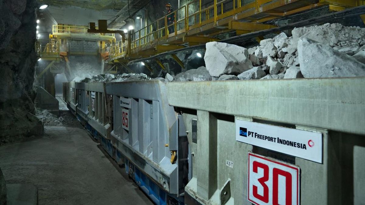 Freeport Sudah Habiskan Rp25 Triliun Buat Kembangkan Kucing Liar