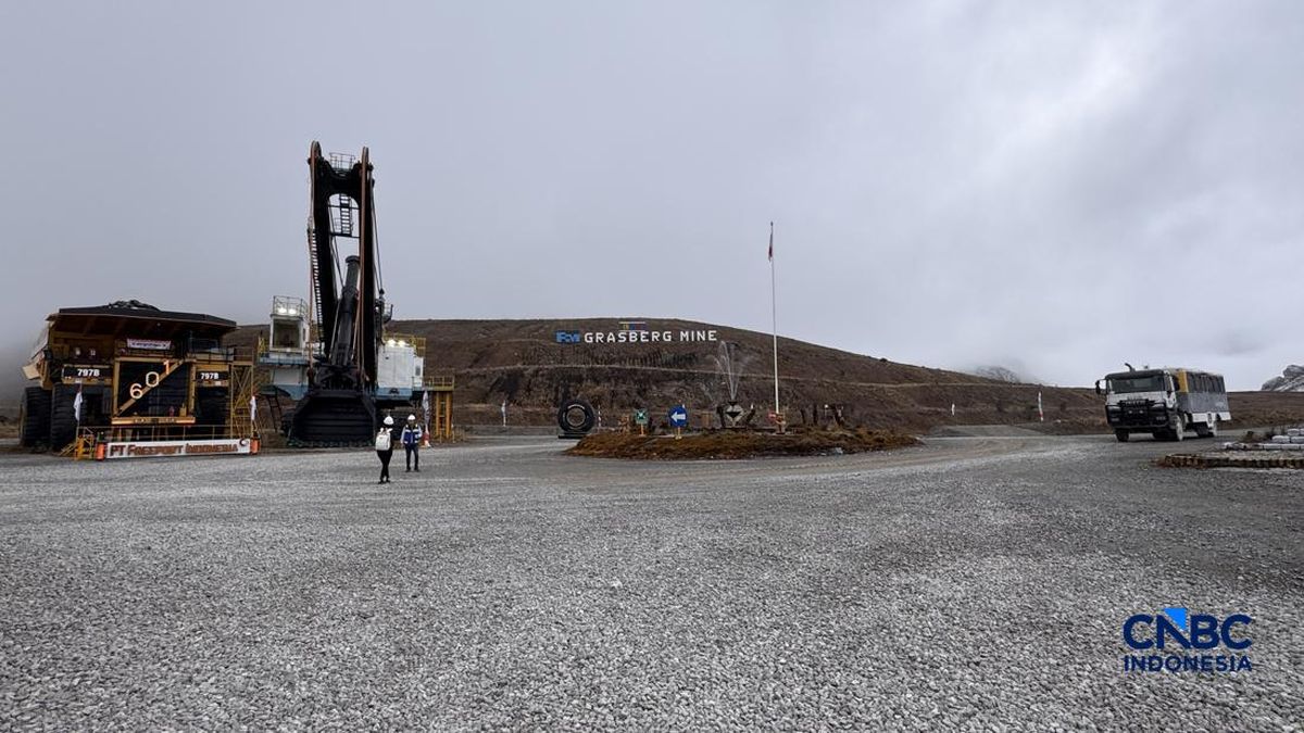 Freeport Habiskan Rp25 T Demi Kucing Liar