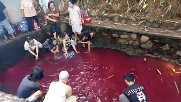Heboh! Air Kolam Tiba-tiba Berubah Warna Merah di Gunung Sindur Bogor