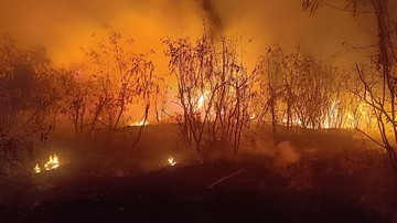Alang-alang di Kedoya Jakbar Kebakaran, Api Sempat Menyala Besar