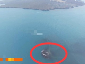 Daratan Baru 30,3 Hektare Muncul di Dekat Gunung Anak Krakatau