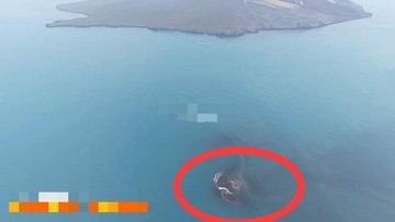 Seluas Ini Daratan Baru Muncul di Dekat Gunung Anak Krakatau