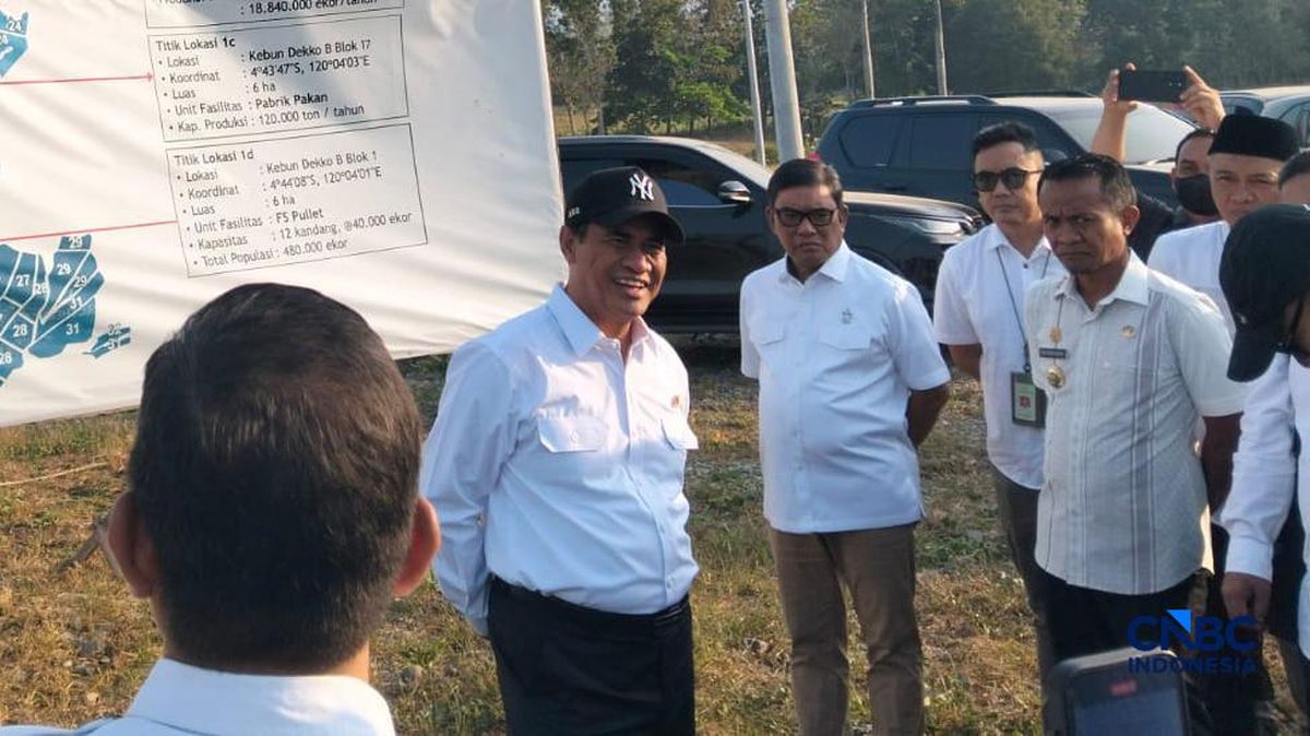 Negara Hadir, Hilirisasi Ayam Cara Imbangi Dominasi 2 'Raksasa' Unggas