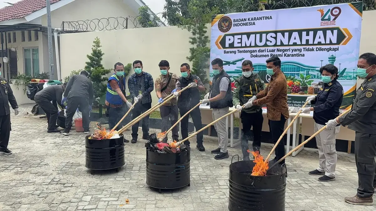 Bakso hingga Ikan Asin Asal Malaysia Dimusnahkan, Ini Alasannya