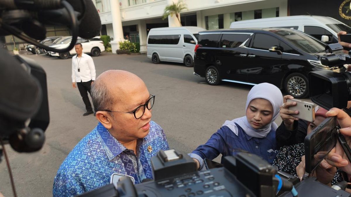 Bertemu Presiden, Bos Danantara Buka-Bukaan Soal Perampingan BUMN