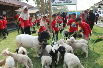Riangnya Murid SD Edutrip ke Lapas Karawang: Lihat Ayam Bertelur-Beri Makan Domba