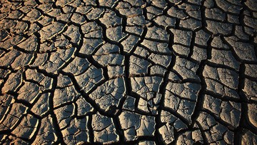 Pakar IPB Jelaskan Fenomena Tanah Kalimantan Retak Seperti di Afrika