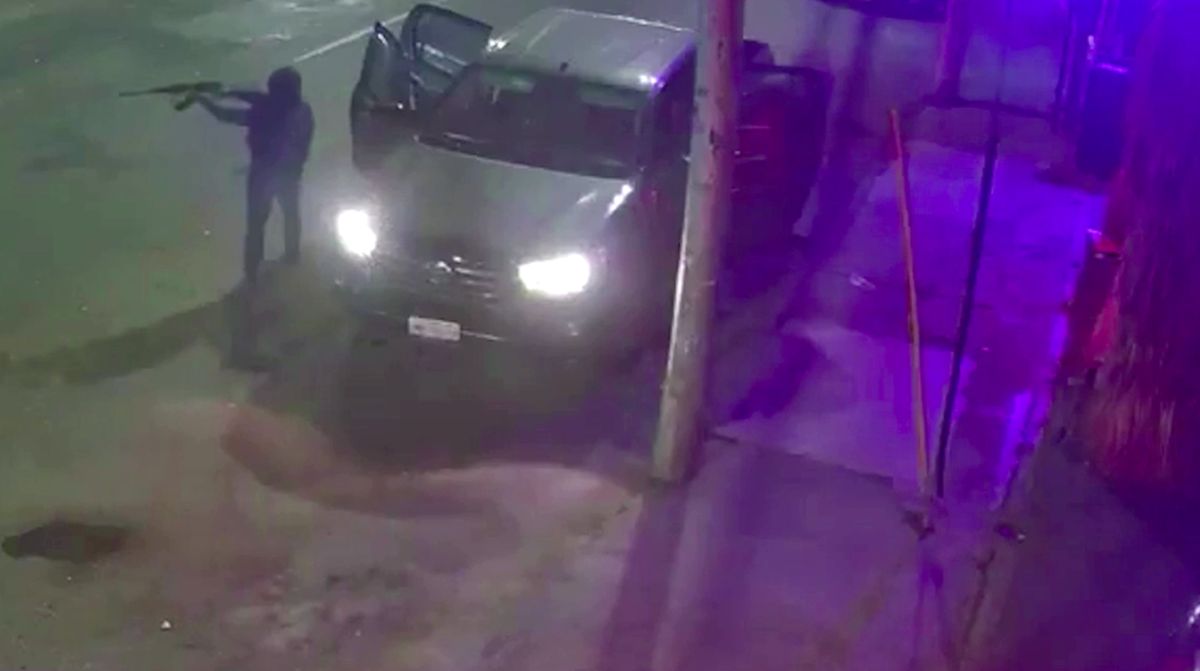 CCTV di Kandang Ayam Berubah Jadi Senjata Perang, Kok Bisa?