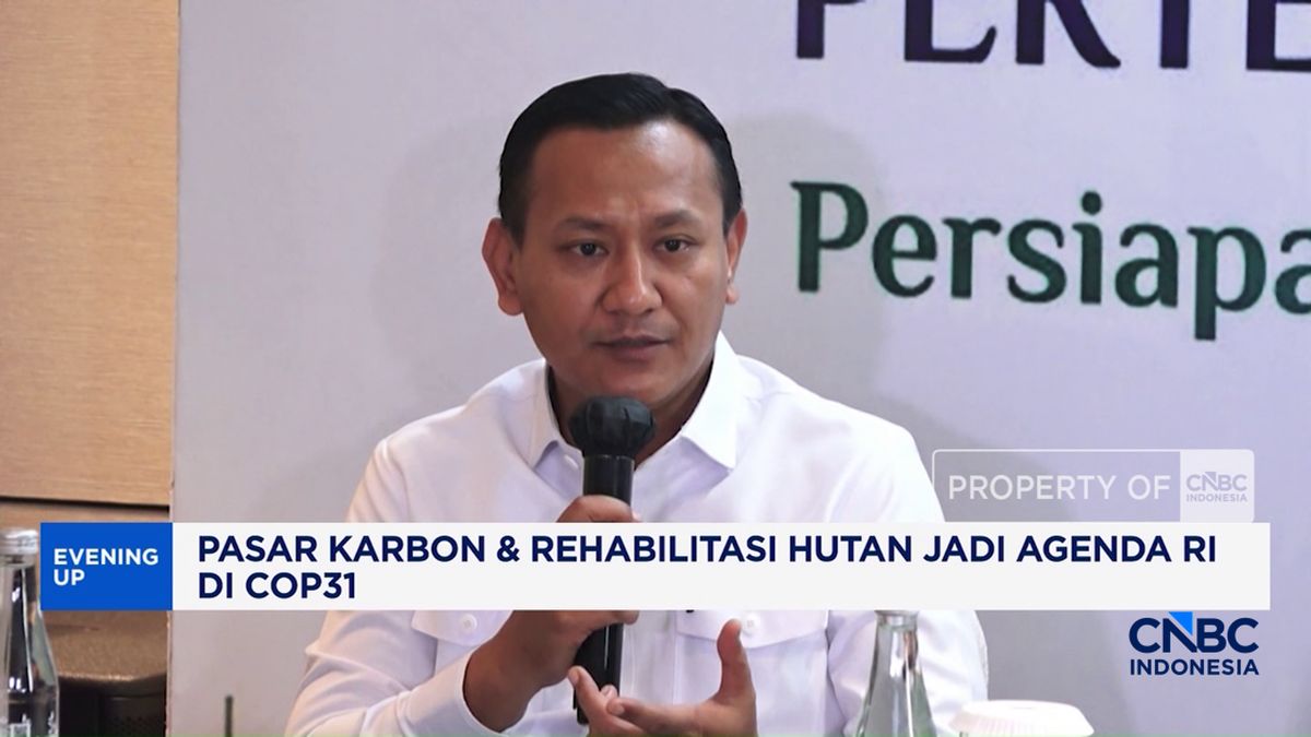 Video:Pasar Karbon dan Rehabilitasi Hutan Jadi Agenda Indonesia di Cop31