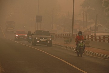 Ada Gas Hidrogen Sianida di Balik Asap Karhutla Gambut, Apa Dampaknya?