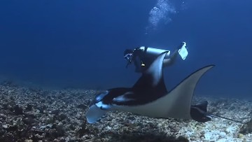 Sosok Jessica, Dive Master Asal Jakarta Korban Pinisi Tenggelam di Labuan Bajo