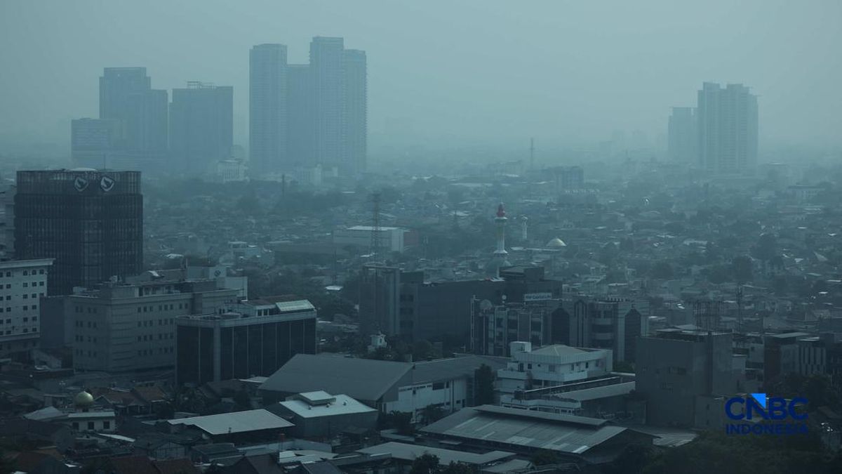 Alasan Asap Karhutla Kalimantan Bisa Sampai di Jakarta, Ini Kata Pakar