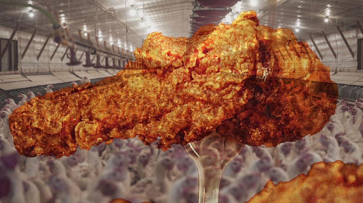 10 Negara dengan Konsumsi Daging Ayam Terbesar, RI Nomor Berapa?