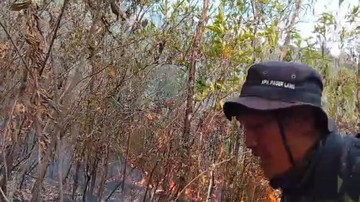 Lereng Gunung Lawu Kebakaran, Api Meluas ke Arah Jalur Pendakian