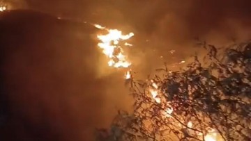 Kawasan Gunung Sumbing Wonosobo Kebakaran, 71 Pendaki Dievakuasi