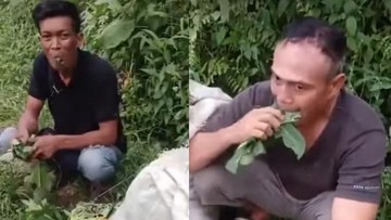 Viral 2 Pencuri di Deli Serdang Dipaksa Warga Makan Daun Pepaya Mentah