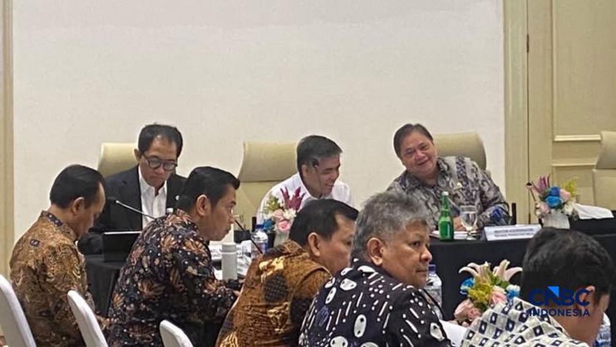 Airlangga Bongkar Luas KEK RI, Jauh Tertinggal dari Vietnam-Malaysia