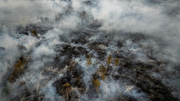 Karhutla Berbulan-bulan, El Nino Jadi Kambing Hitam?