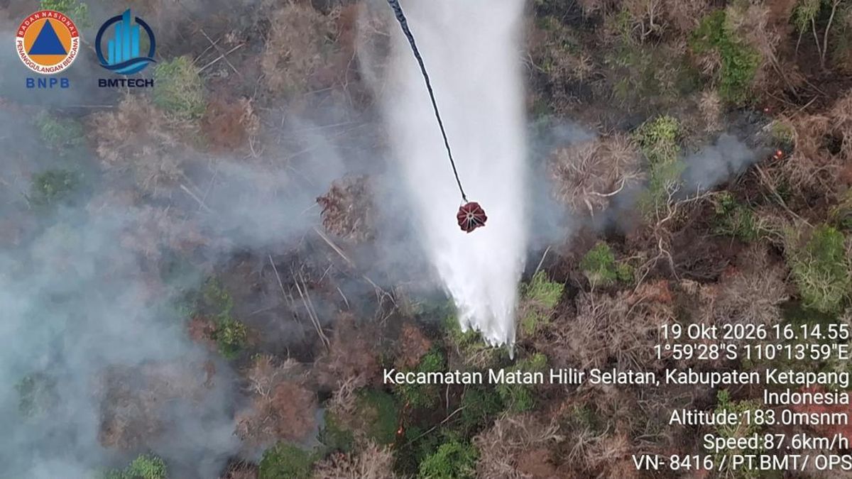 RI Dihantam Bencana Berulang Ribuan Kali, BNPB Ungkap Penyebab Utama
