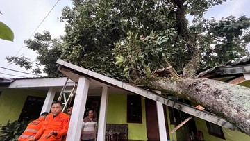 Pohon Rambutan Tumbang Timpa Rumah Imbas Angin Kencang di Kota Bogor