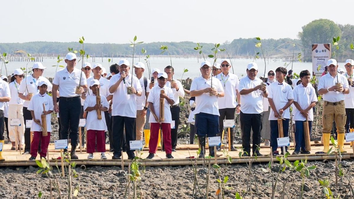Lindungi Pantai Utara Jawa dari Abrasi, BRI Tanam Bibit Mangrove