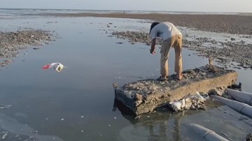Limbah Tambak Udang Dibuang ke Laut Sumbawa, Pemprov NTB Ancam Sanksi Berat