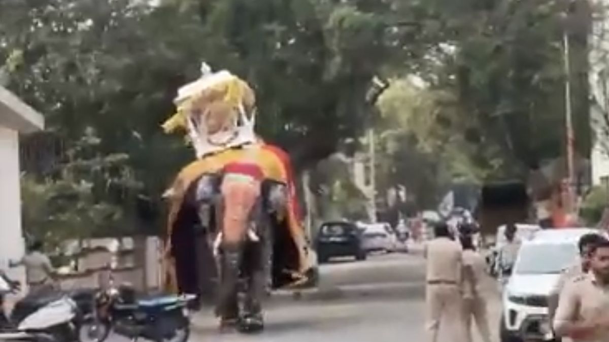 Gajah Bawa 650 Kg Emas Ngamuk di Jalanan, Warga Berhamburan