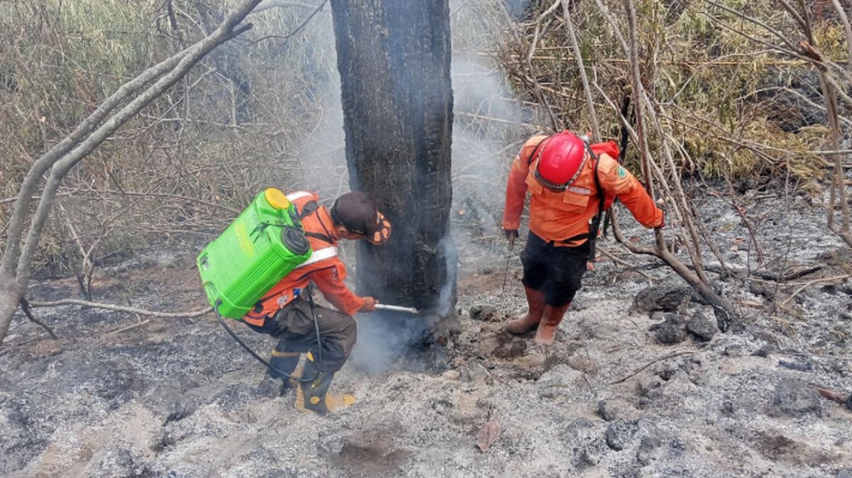 Karhutla Malanda Pulau Jawa, BNPB Ungkap Titik Api
