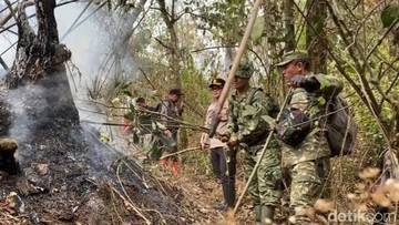 Karhutla di Gunung Arjun-Welirang Padam, Polisi Selidik Penyebab Kebakaran