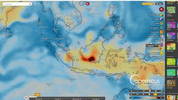 Pantau Arah Asap Karhutla Lewat 4 Situs Ini
