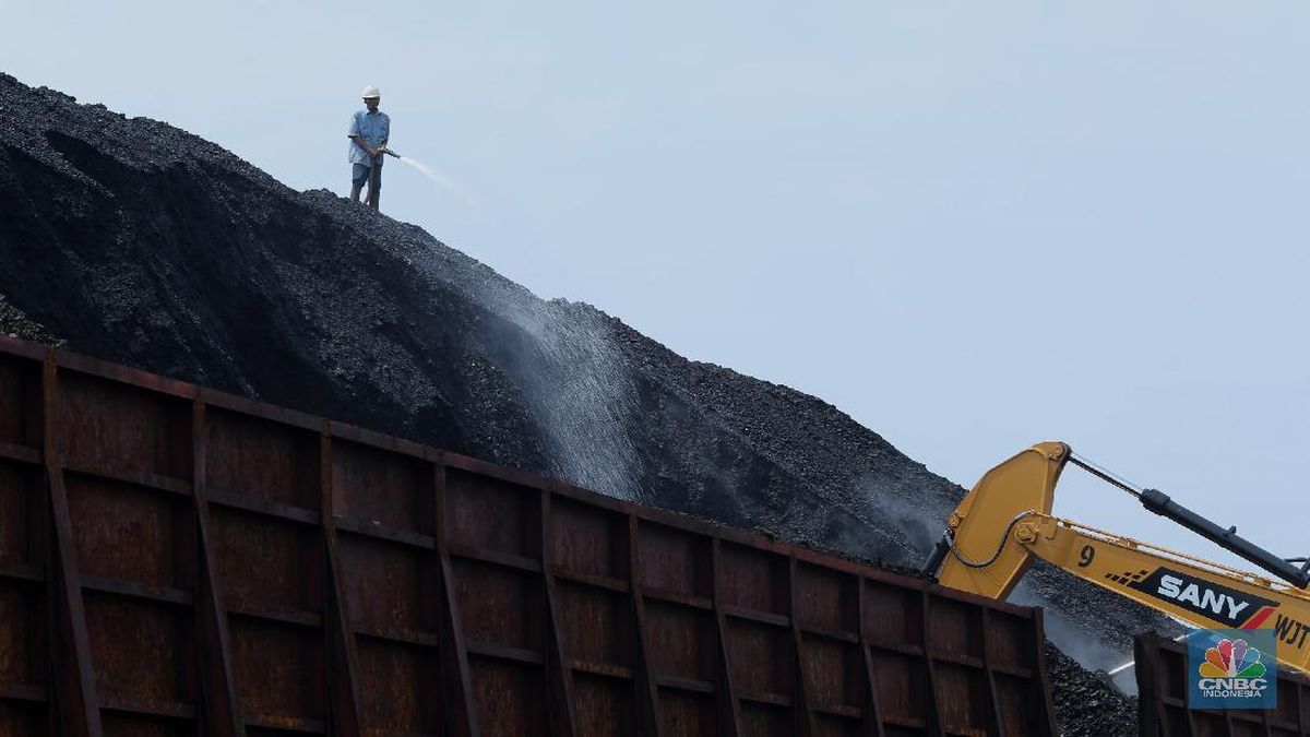 Harga Batu Bara Melandai di Tengah Adu Kuat Sentimen China vs India
