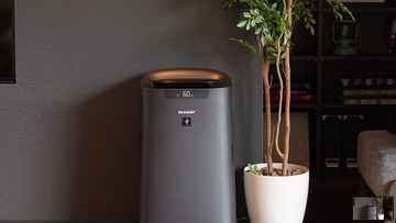 Imbas Abu Anak Krakatau, Penjualan Air Purifier Sharp Naik 3 Kali Lipat