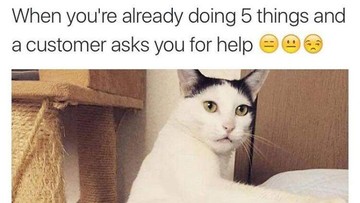 Kucing yang Memeable, Terlalu Imut atau Kelewat Absurd Tingkahnya