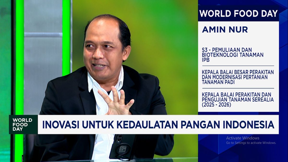 Video: Inovasi BRMP Hasilkan Benih Padi Yang Kuat di Rawa-Lahan Kering