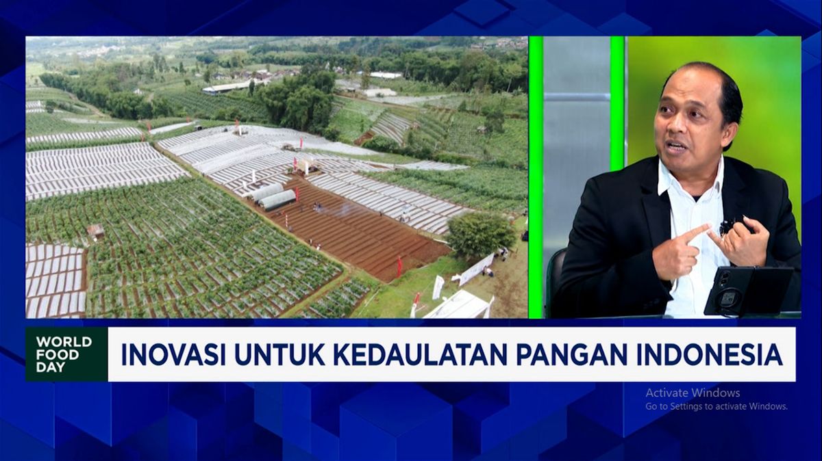 Video: 5 Strategi Kementan Pastikan Benih Padi Unggul Sampai ke Petani