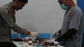 Dukung Pengendalian Populasi, Ditpolsatwa Polri Gelar Sterilisasi Kucing di Jakarta