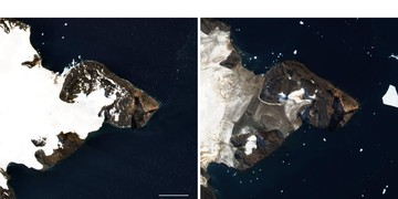 Wajah Tengkorak Muncul di Antartika dalam Citra Satelit NASA